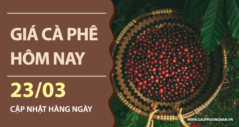 gia-ca-phe-hom-nay-ngay-23-03-2026