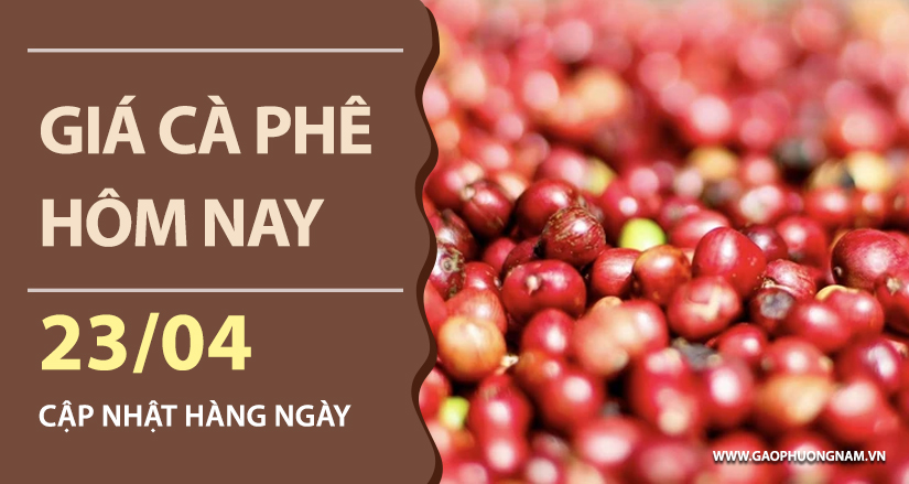 gia-ca-phe-hom-nay-ngay-23-04-2026