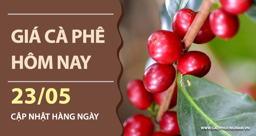 gia-ca-phe-hom-nay-ngay-23-05-2026