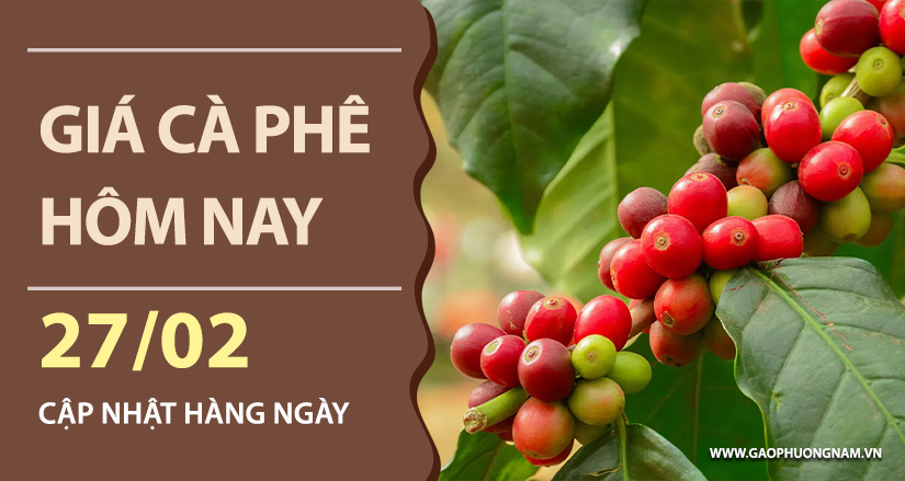 gia-ca-phe-hom-nay-ngay-27-02-2026