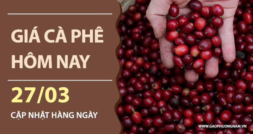 gia-ca-phe-hom-nay-ngay-27-03-2026