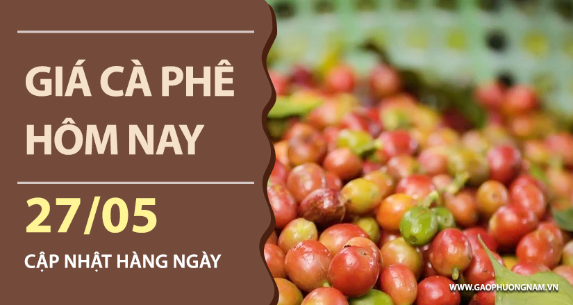 gia-ca-phe-hom-nay-ngay-27-05-2026