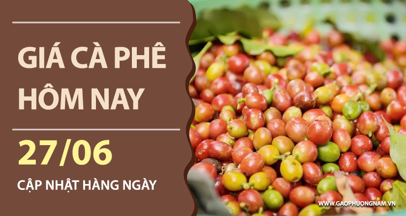 gia-ca-phe-hom-nay-ngay-27-06-2026