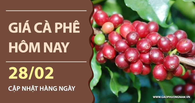 gia-ca-phe-hom-nay-ngay-287-02-2026