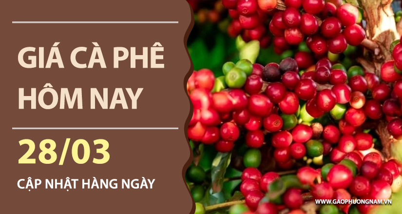 gia-ca-phe-hom-nay-ngay-28-03-2026
