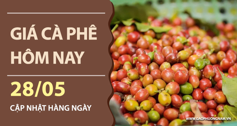gia-ca-phe-hom-nay-ngay-28-05-2026