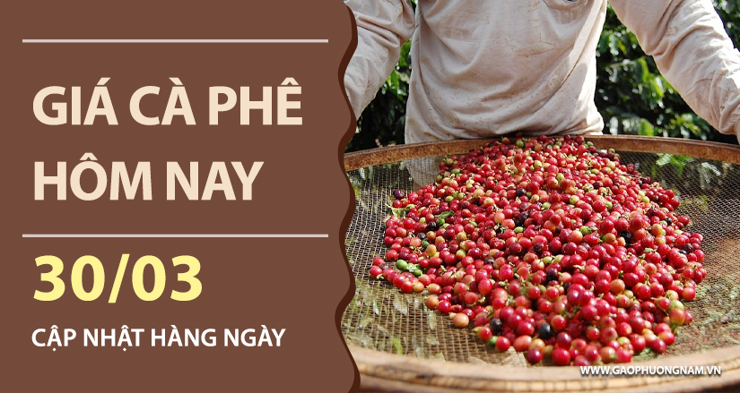 gia-ca-phe-hom-nay-ngay-30-03-2026