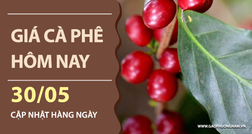 gia-ca-phe-hom-nay-ngay-30-05-2026