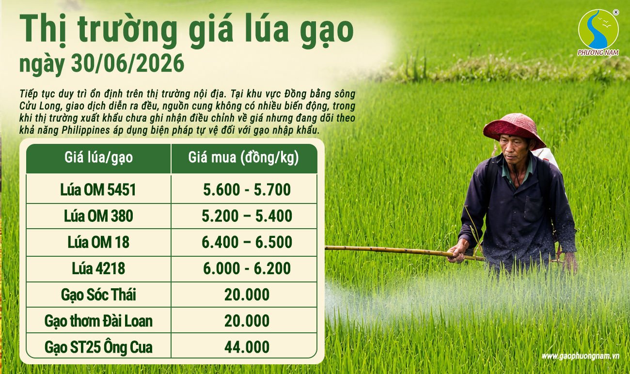 Giá lúa gạo hôm nay 30/6/2026