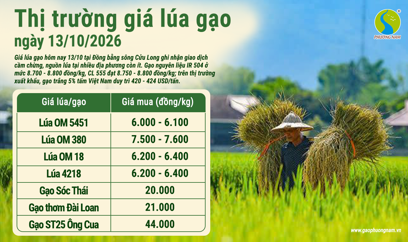 Giá lúa gạo hôm nay 13/10/2026