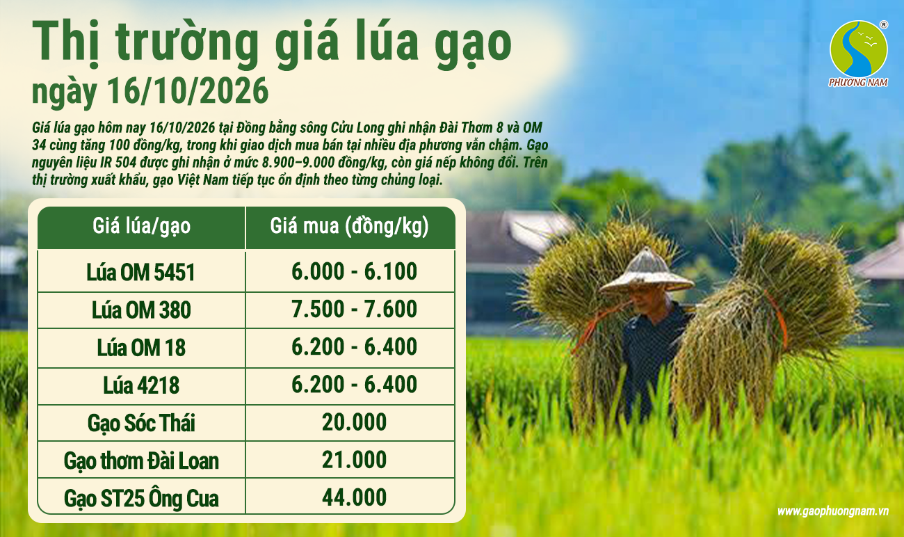 Giá lúa gạo hôm nay 16/10/2026