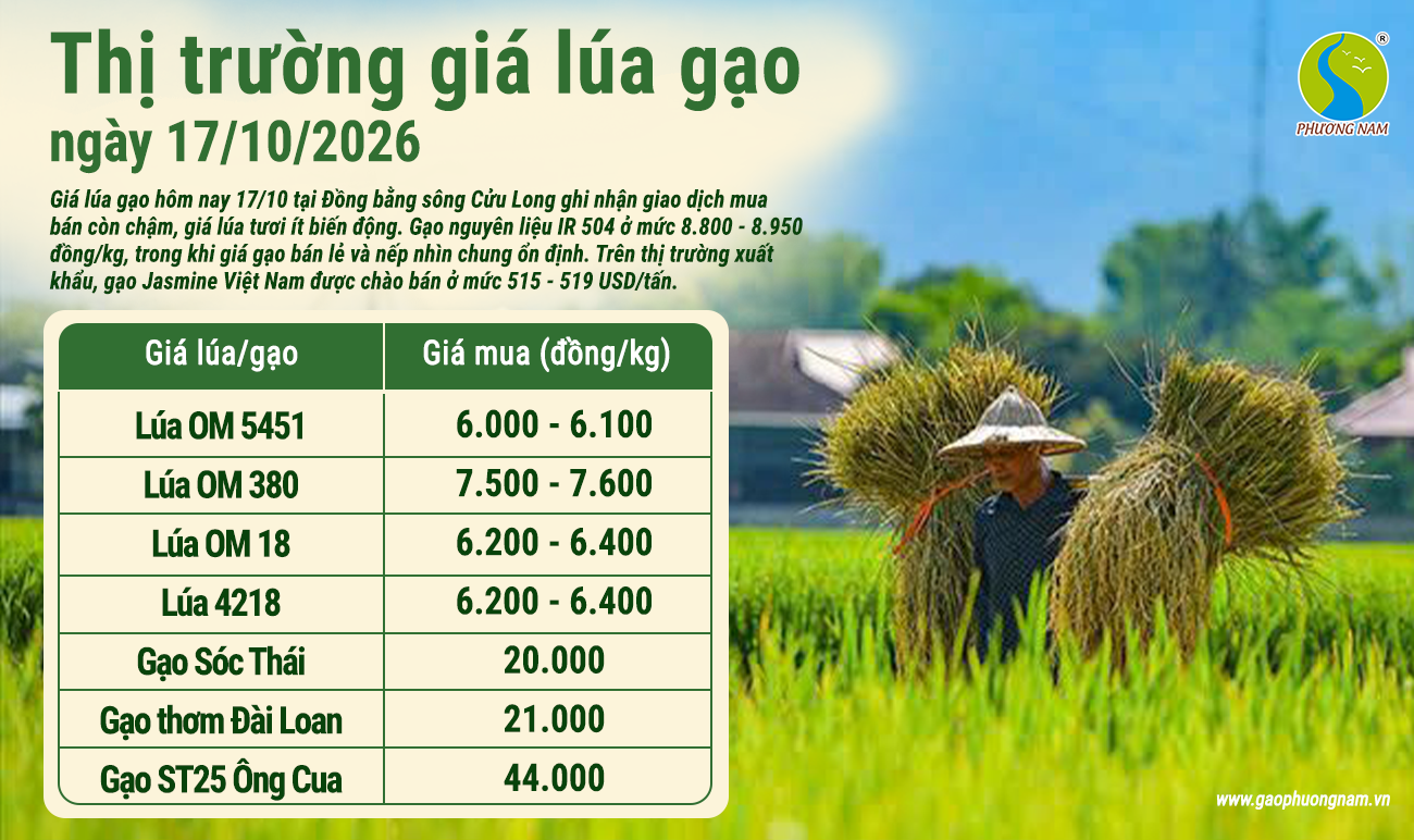 Giá lúa gạo hôm nay 17/10/2026