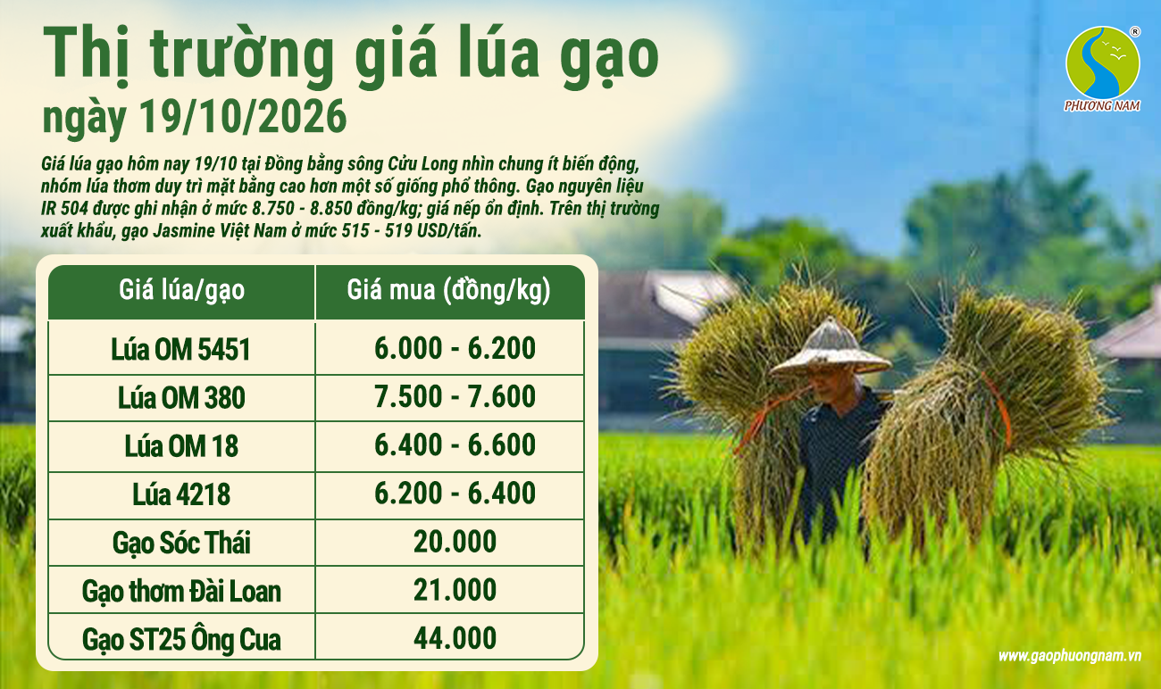 Giá lúa gạo hôm nay 19/10/2026