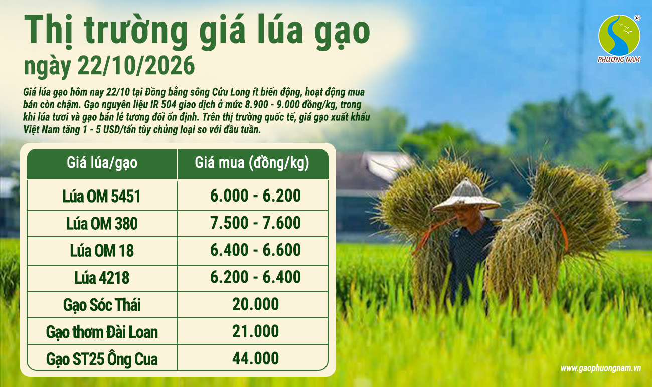 Giá lúa gạo hôm nay 22/10/2026