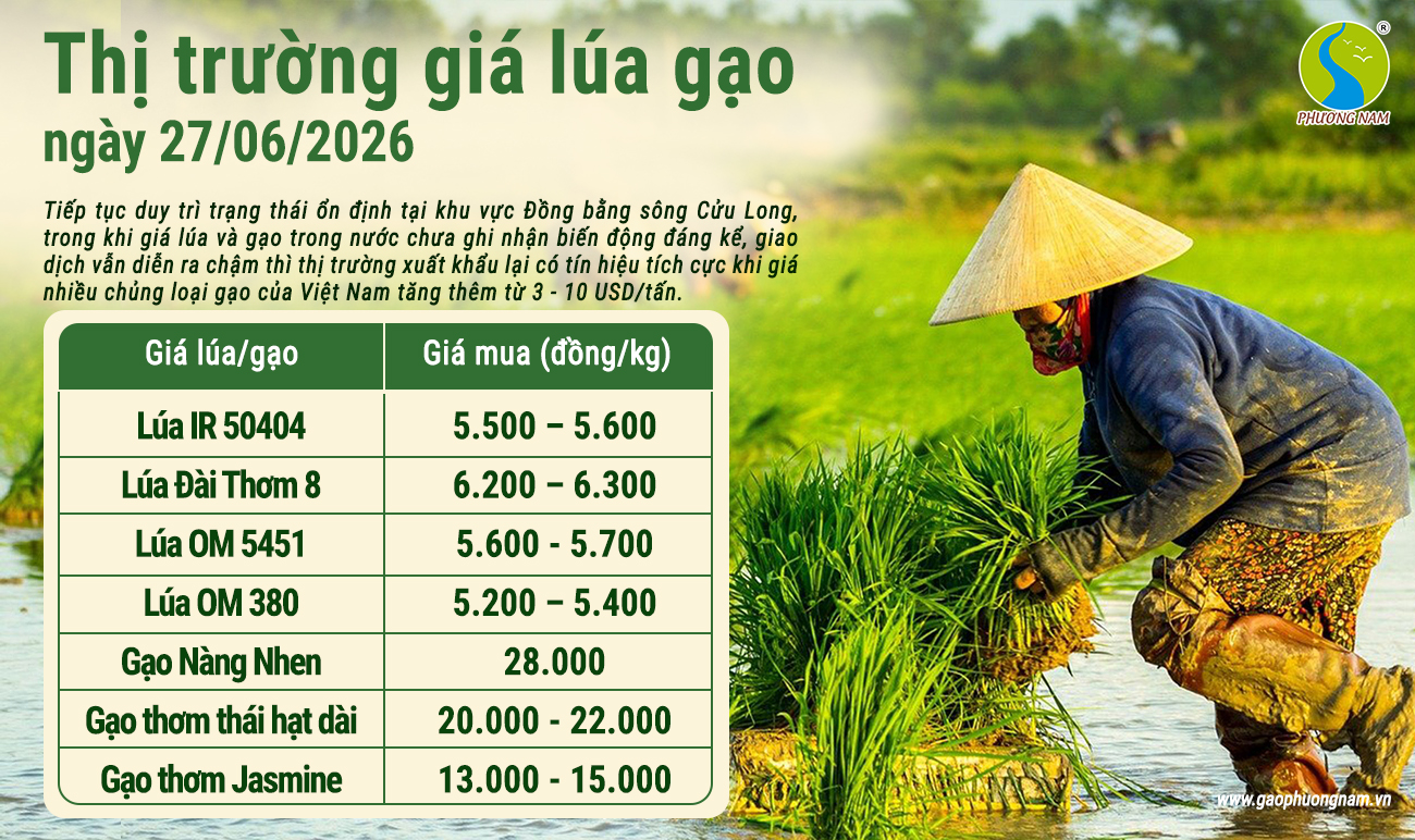 Giá lúa gạo hôm nay 27/6/2026