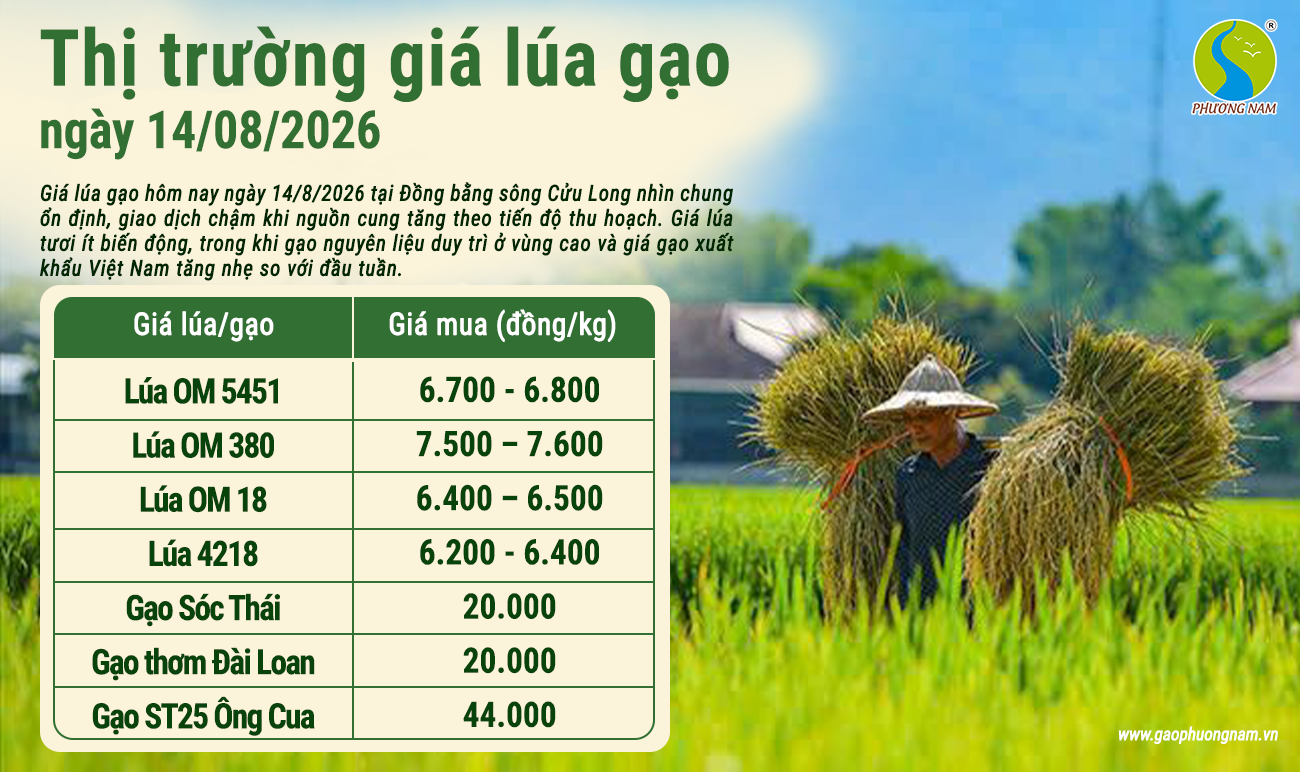 Giá lúa gạo hôm nay 30/6/2026