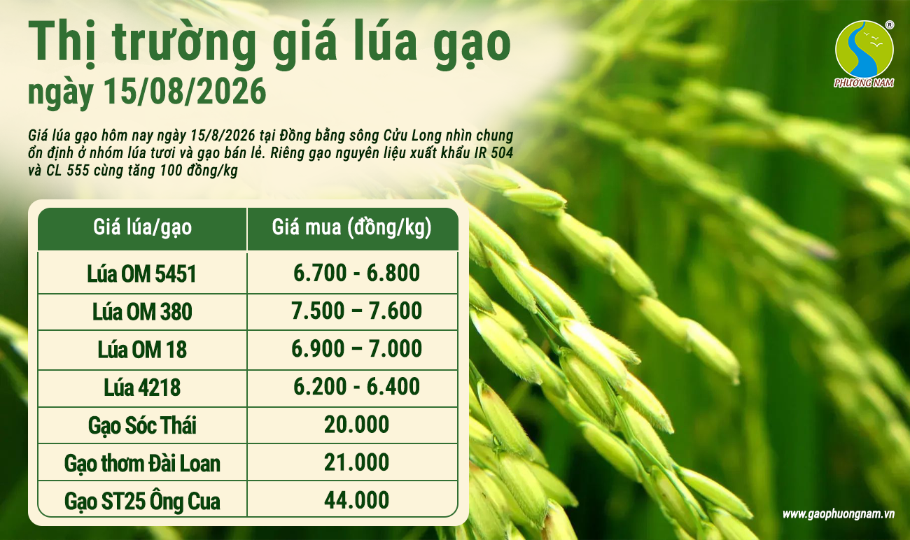 Giá lúa gạo hôm nay 30/6/2026