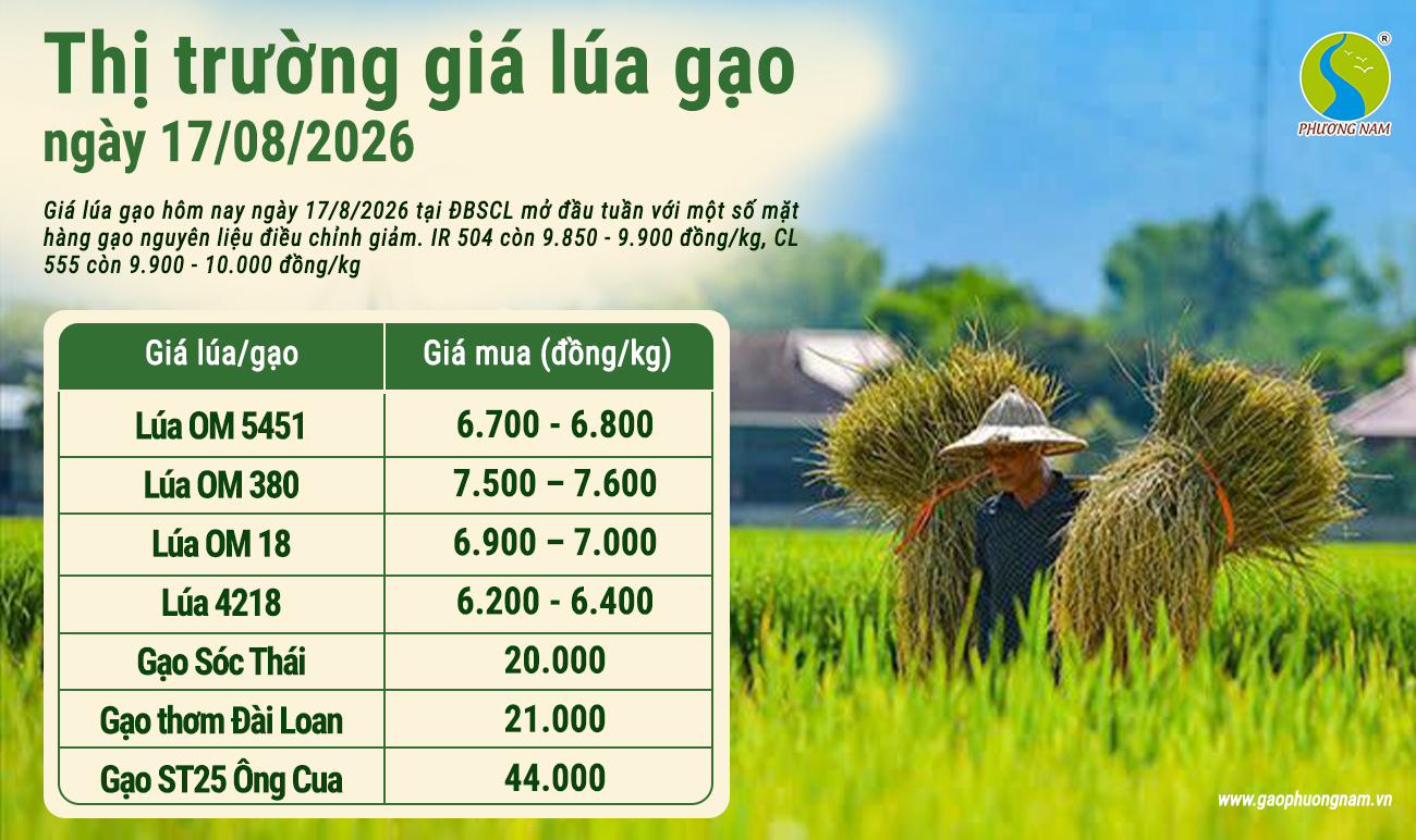 Giá lúa gạo hôm nay 30/6/2026