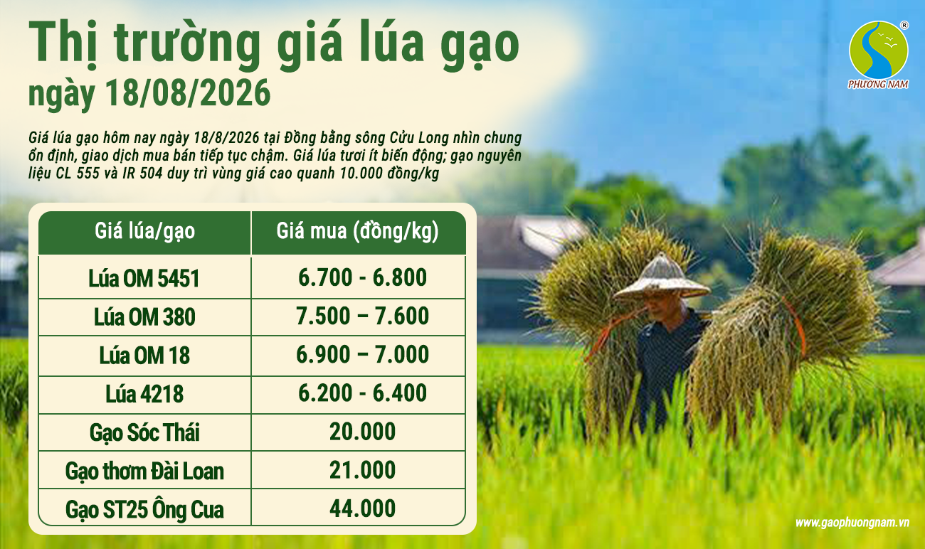 Giá lúa gạo hôm nay 30/6/2026