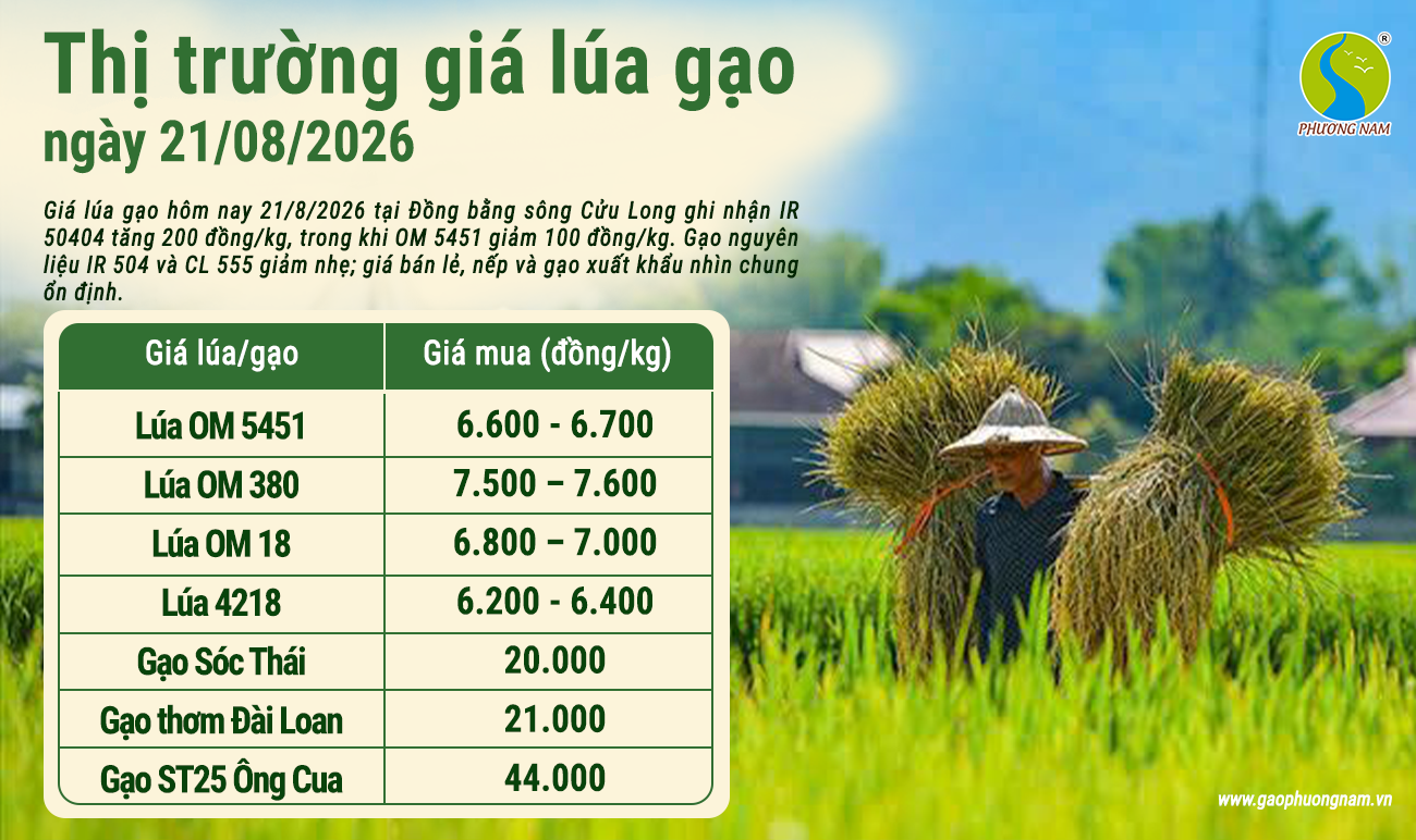 Giá lúa gạo hôm nay 30/6/2026