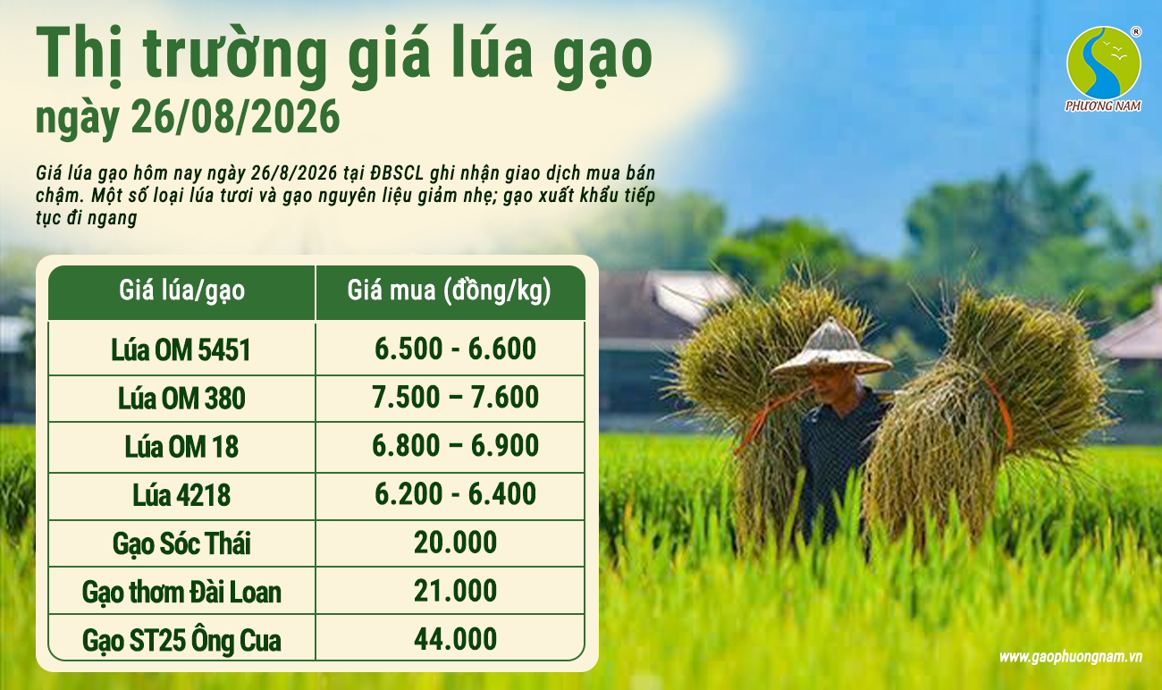Giá lúa gạo hôm nay 30/6/2026