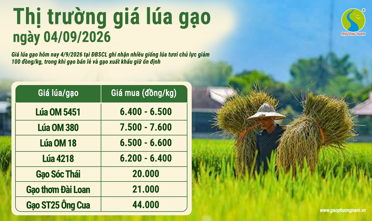 Giá lúa gạo hôm nay 30/6/2026