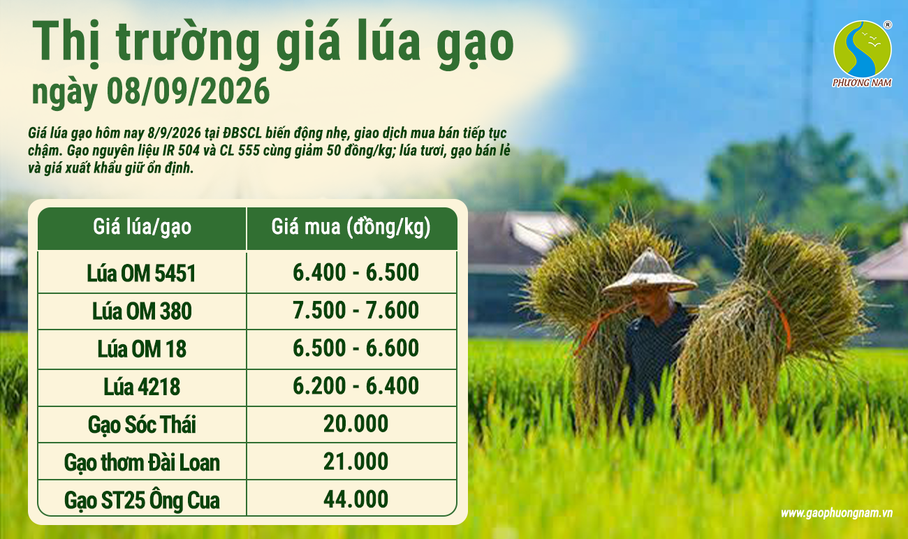 Giá lúa gạo hôm nay 30/6/2026