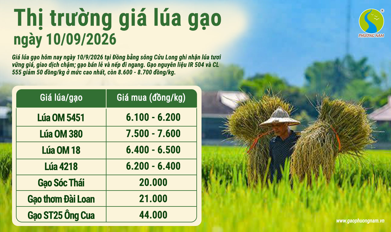 Giá lúa gạo hôm nay 30/6/2026