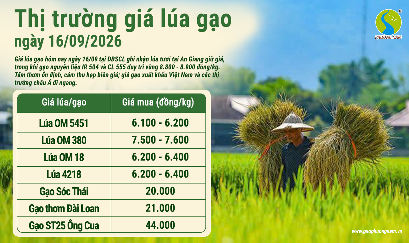 Giá lúa gạo hôm nay 30/6/2026