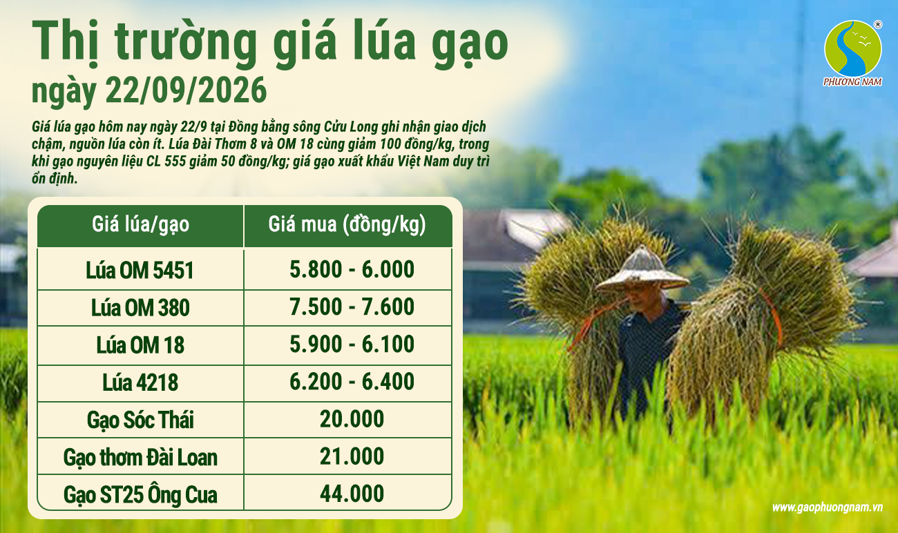 Giá lúa gạo hôm nay 22/09/2026