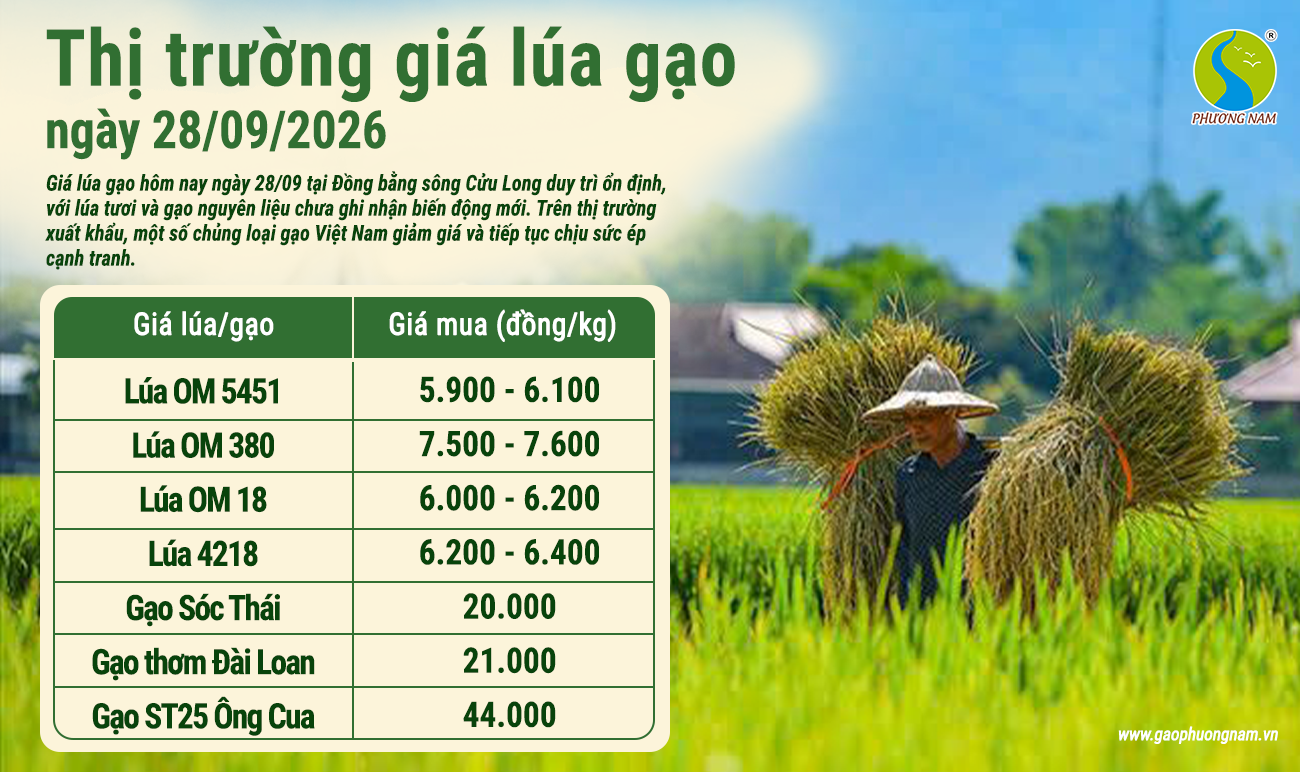 Giá lúa gạo hôm nay 28/09/2026