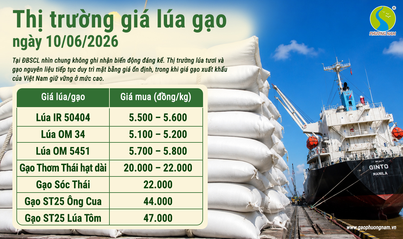 Giá lúa gạo hôm nay 10/6/2026
