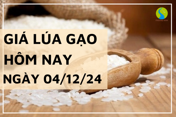 Giá lúa gạo hôm nay ngày 04/12/2024 