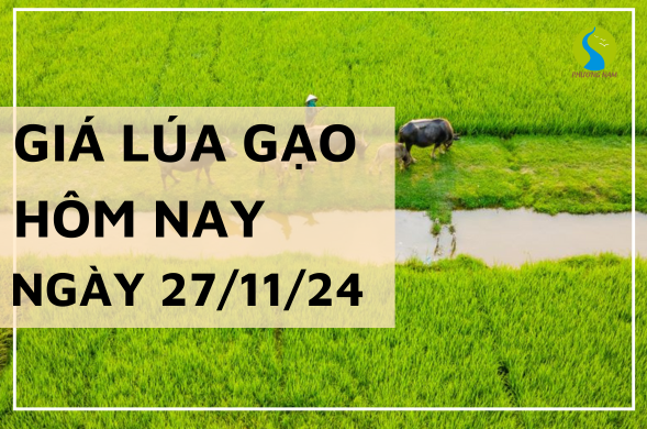 Giá lúa gạo hôm nay ngày 27/11/2024 