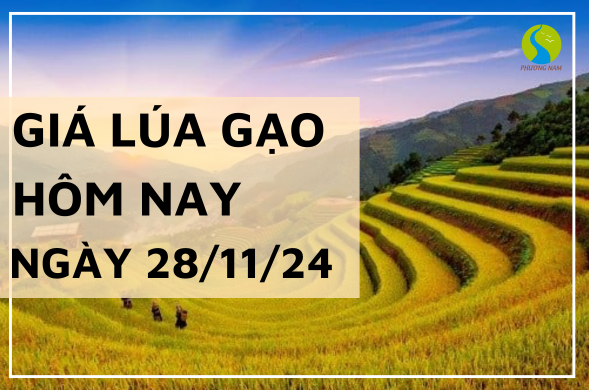 Giá lúagạo hôm nay ngày 28/11/2024 