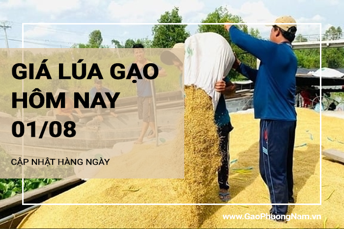 Giá lúa gạo hôm nay 01/08/2024