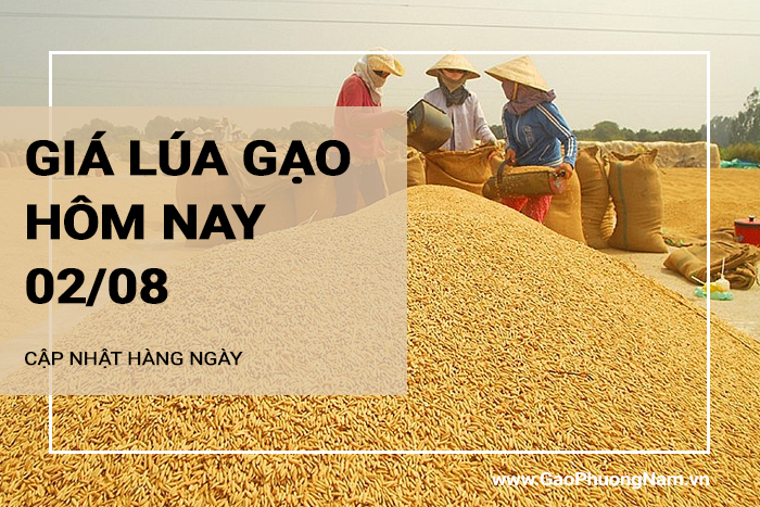 Giá lúa gạo hôm nay 02/08/2024