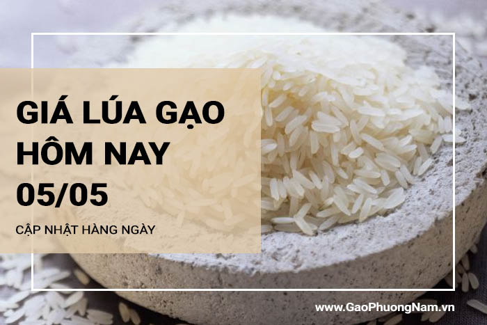 Giá lúa gạo hôm nay 05/05/2024