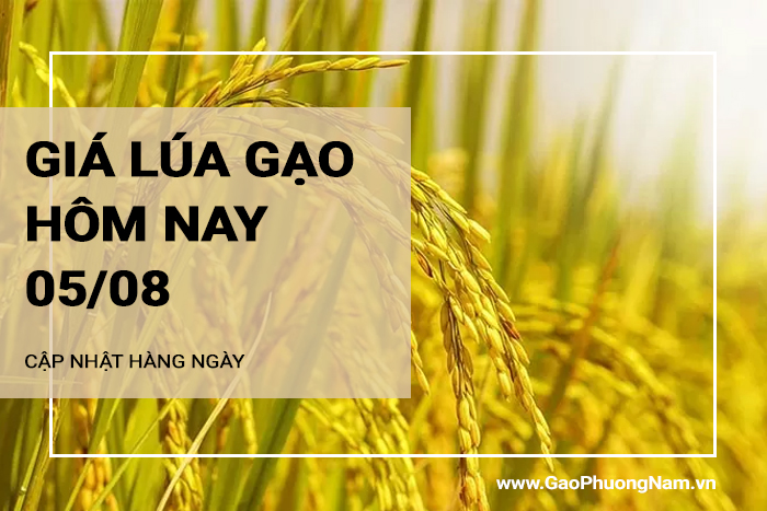 Giá lúa gạo hôm nay 05/08/2024