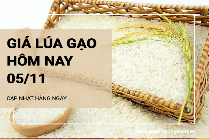 Giá lúa gạo hôm nay 5/11/2024