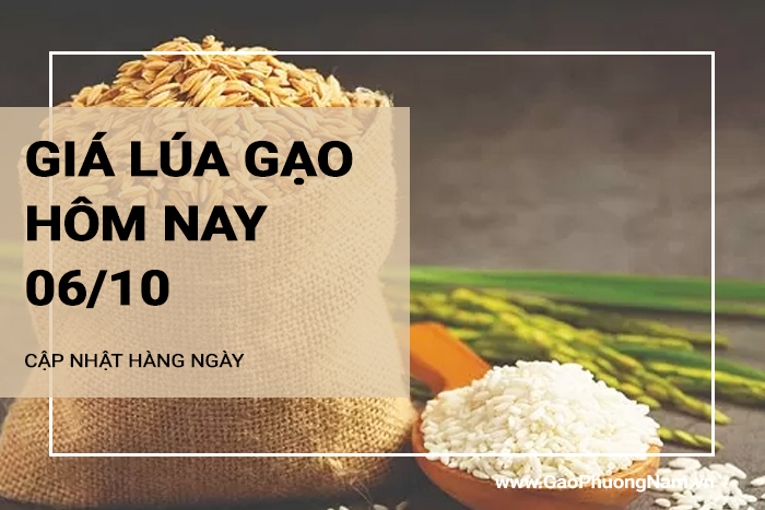 Giá lúa gạo hôm nay 06/10/2024