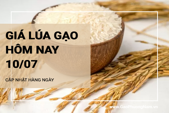 Giá lúa gạo hôm nay 10/07/2024