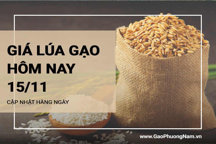 Giá lúa gạo hôm nay ngày 15/11/2023: Giá lúa gạo vẫn neo giữ ở mức cao