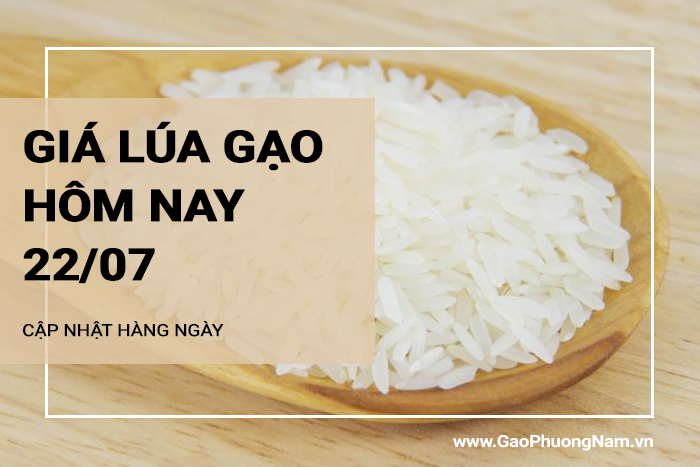 Giá lúa gạo hôm nay 22/07/2024