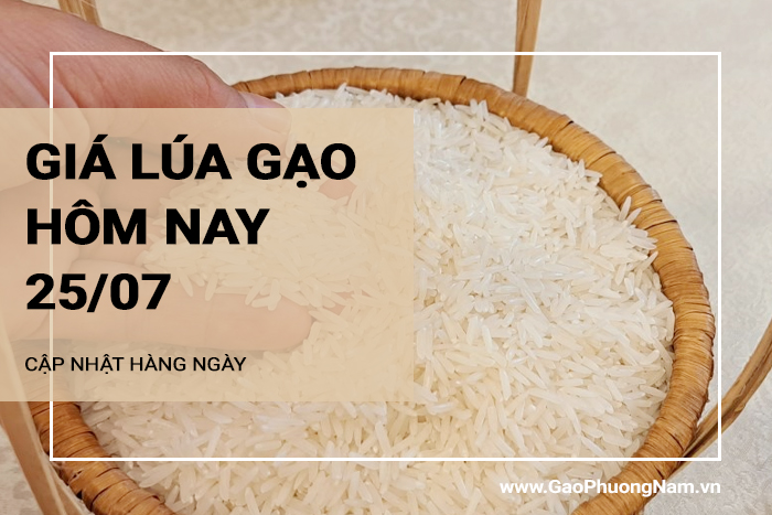 Giá lúa gạo hôm nay 25/07/2024