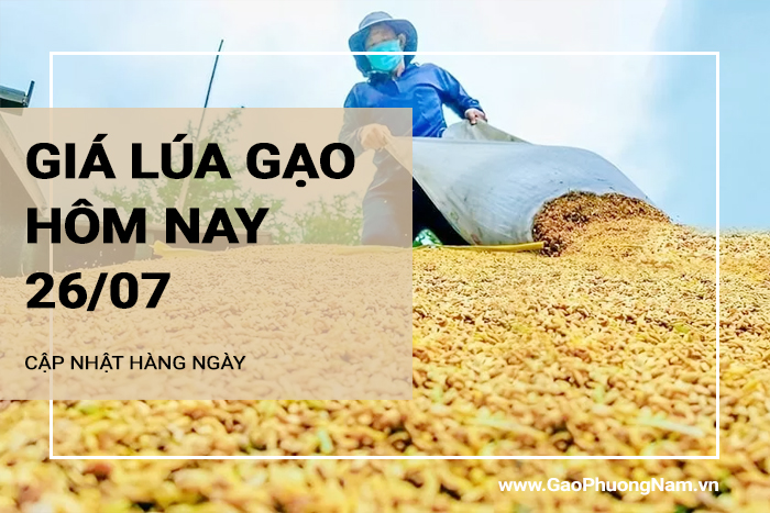 Giá lúa gạo hôm nay 26/07/2024