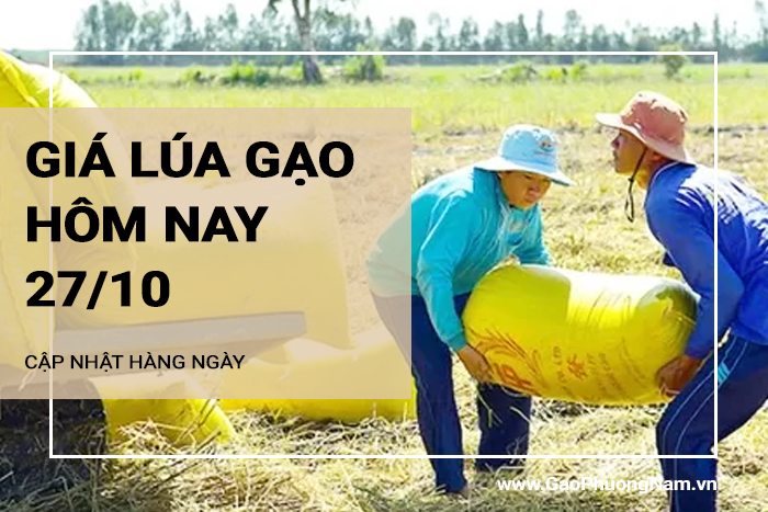 Giá lúa gạo hôm nay 27/10/2024