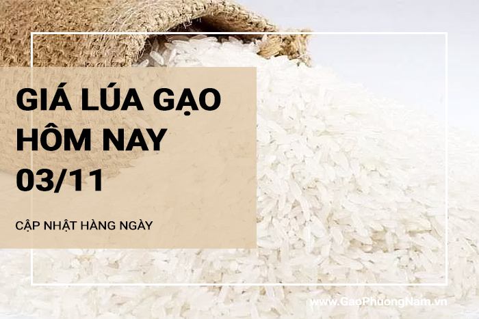 Giá lúa gạo hôm nay 3/11/2024