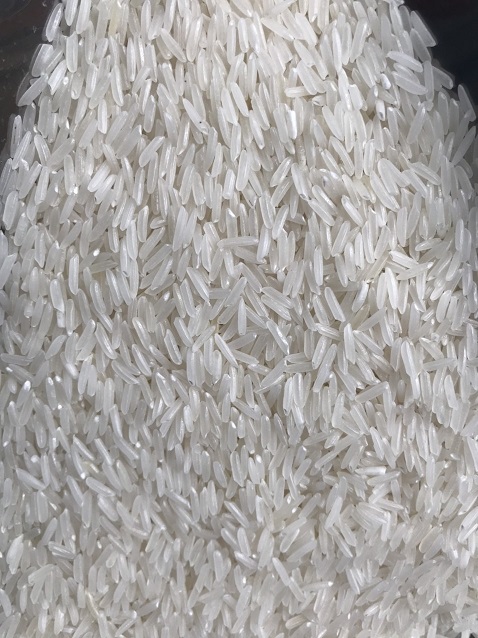 Hạt gạo Phương Nam 1
