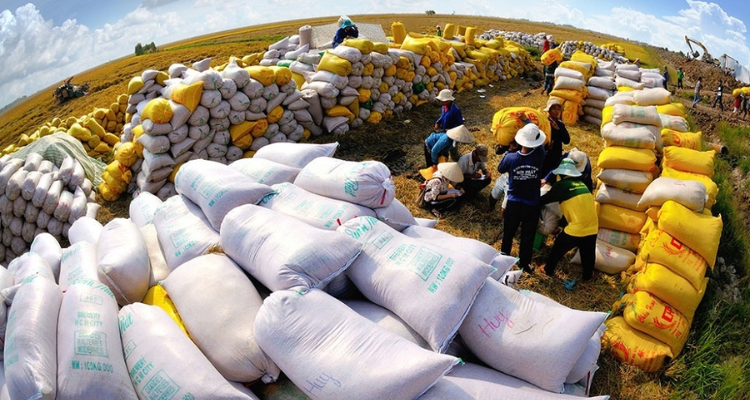 Thủ Tướng Yêu Cầu Thúc Đẩy Xuất Khẩu Gạo Và Ổn Định Thị Trường 2025 (2)